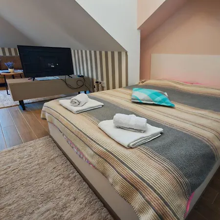 Kondor Vrnjačka Banja