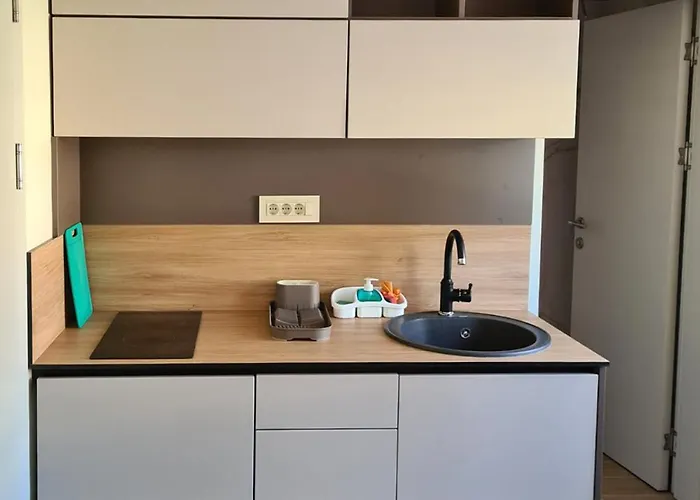 Kondor Vrnjačka Banja